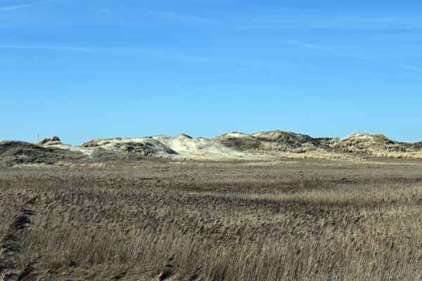 D&uuml;nen hinter den Salzwiesen