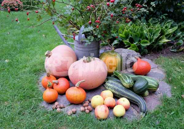Es herbstet !
