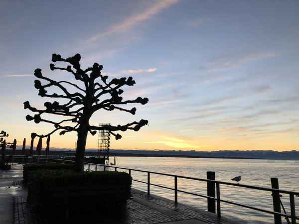 Bodensee am Morgen
