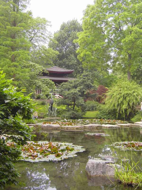 Japanische Wasserlandschaft