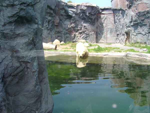 ZOOM Erlebniswelt - 25
