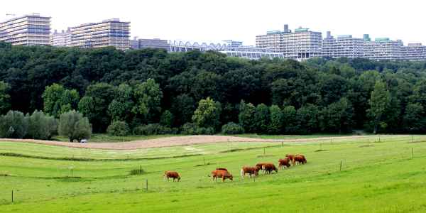 Ruhr Universität Bochum