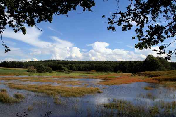 Am Burgteich in Schönfels