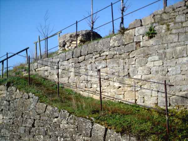 Weg