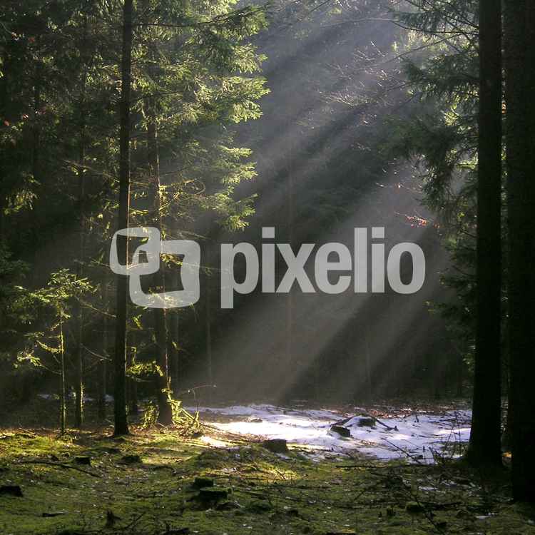 Lichtblick