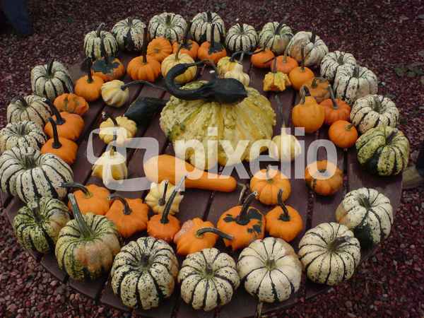 Bunte Herbstboten1