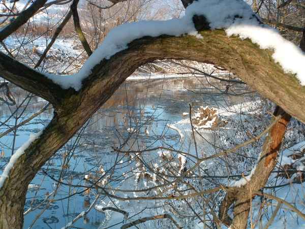 Winter an der Saale
