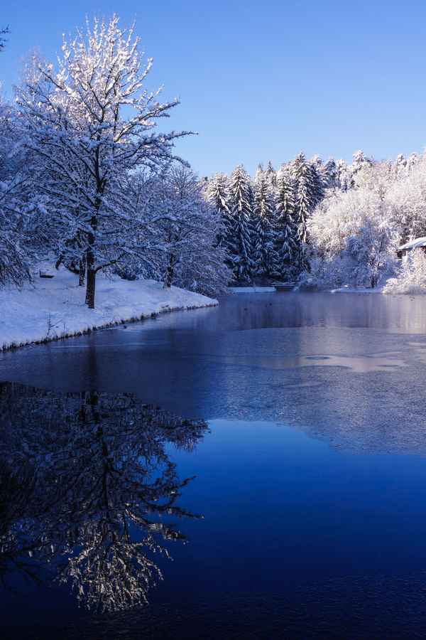 frostiger Waldsee_hoch