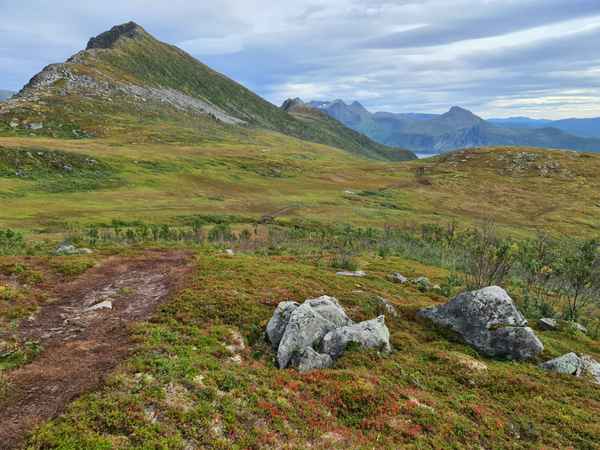 Sommerdalen Senja