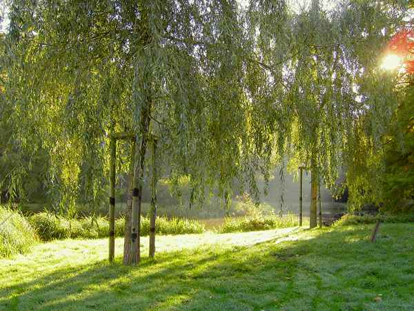 Nasser Morgen im Bürgerpark