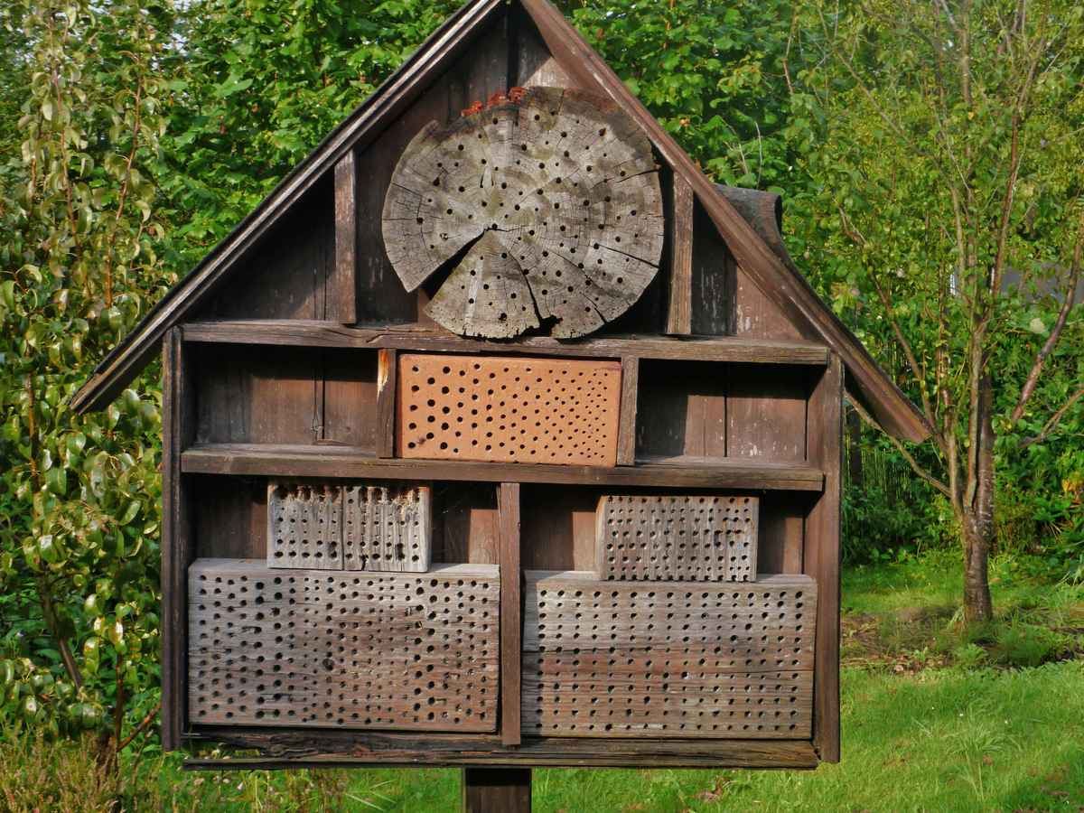 Insektenhaus