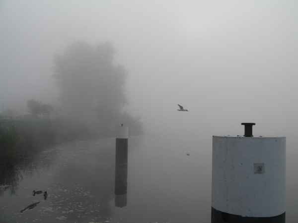 Fluss im Morgennebel