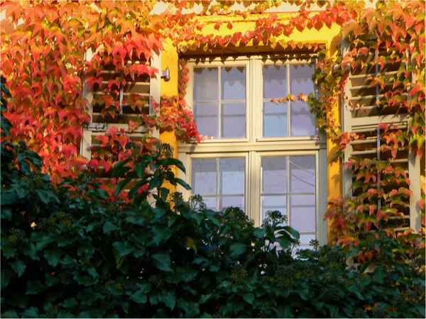 ..umrahmt von Farben