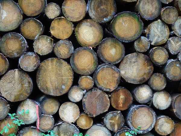 Holzstapel