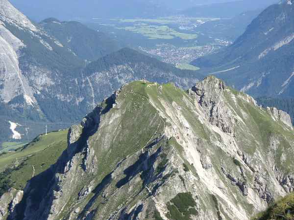 Schafe in der Steilwand