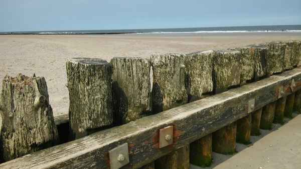 Holzbuhne