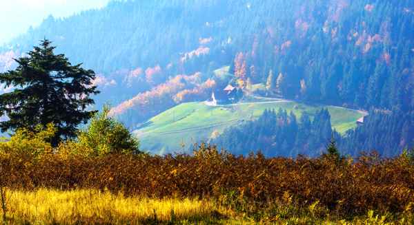 Schwarzwald im Herbst