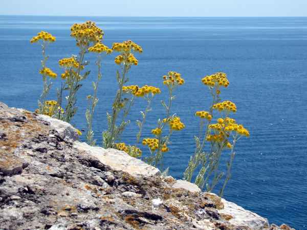 Blick aufs Meer