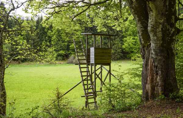 Waidmannsheil im Frühling