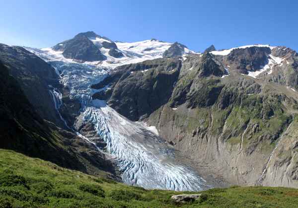 Triftgletscher und Tieraplistock