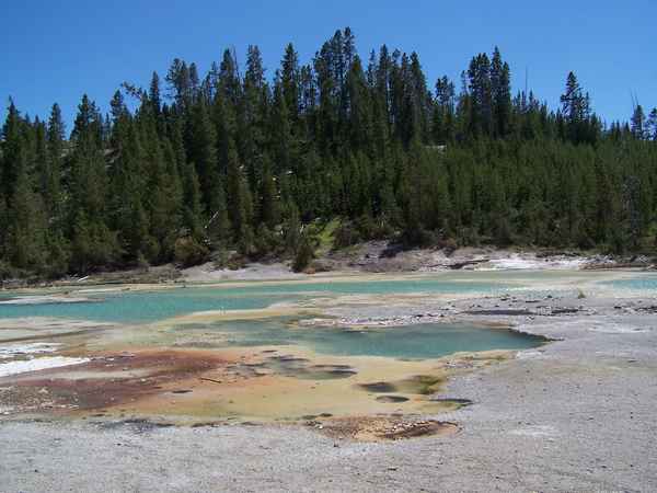 Heiße Quelle vor einem Hügel - Yellowstone National Park (WY)