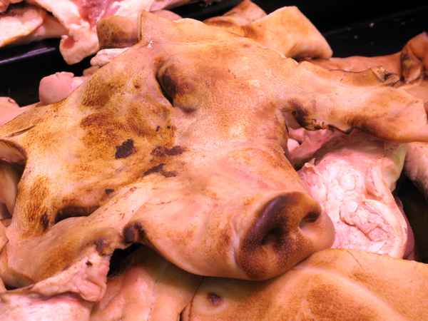Schweinegesicht