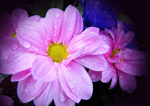 auch Regen ist schön...