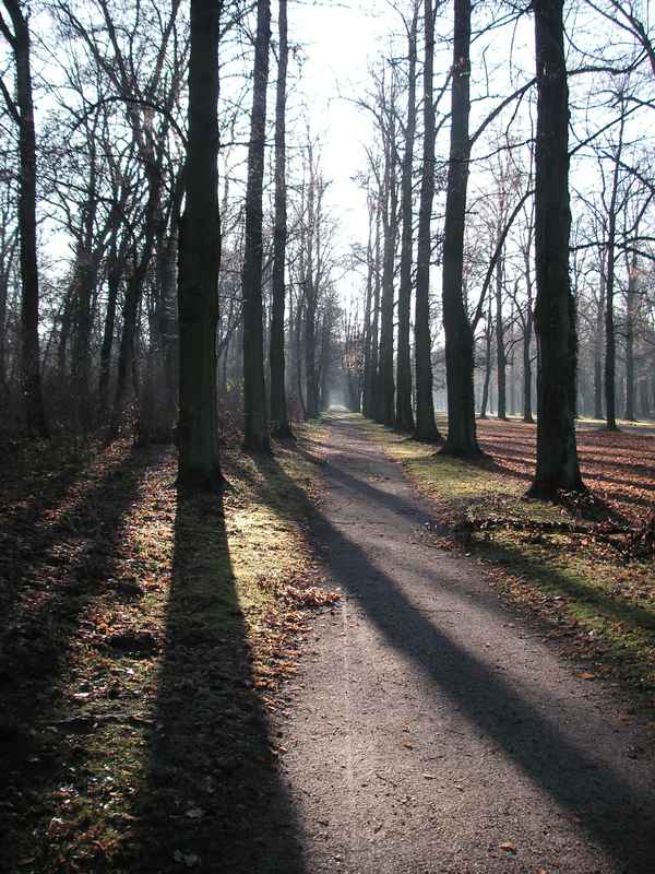 Winterallee