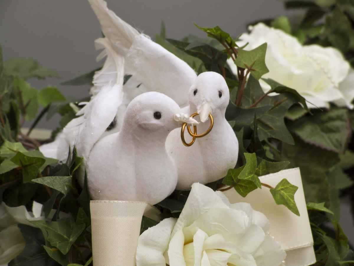 hochzeitstauben