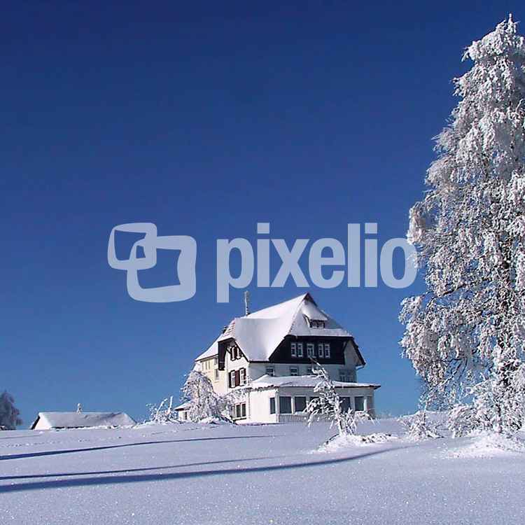 Schwarzwald-Winter