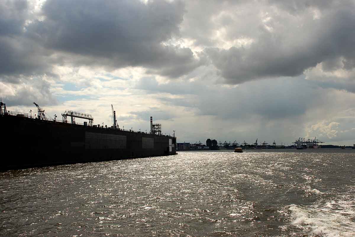 Elbblik im Gegenlicht