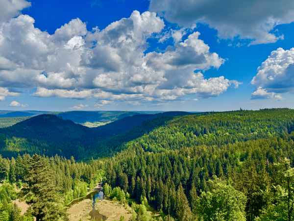  Schwarzwald-Panorama am Ellbachsee
