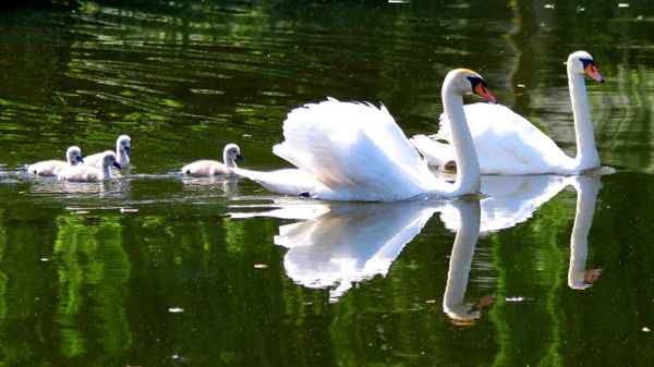 Familienausflug