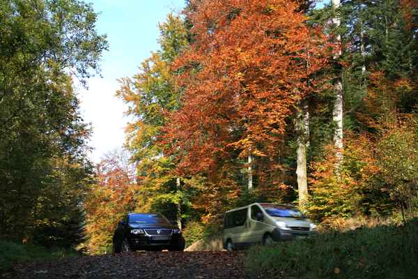 Autofahren im Herbst 2