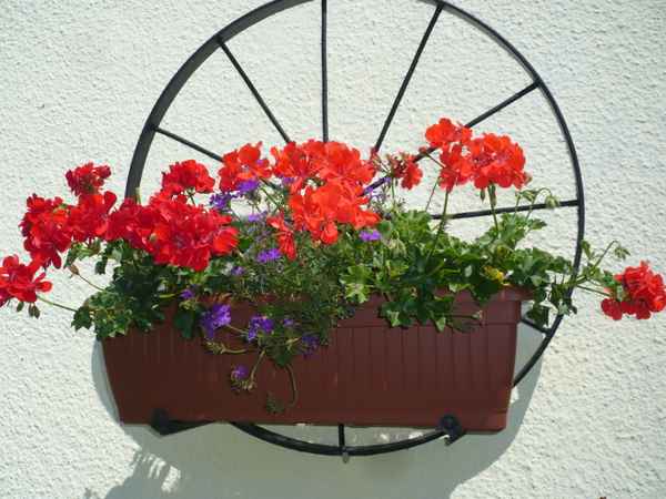 Blätter u. Blumen