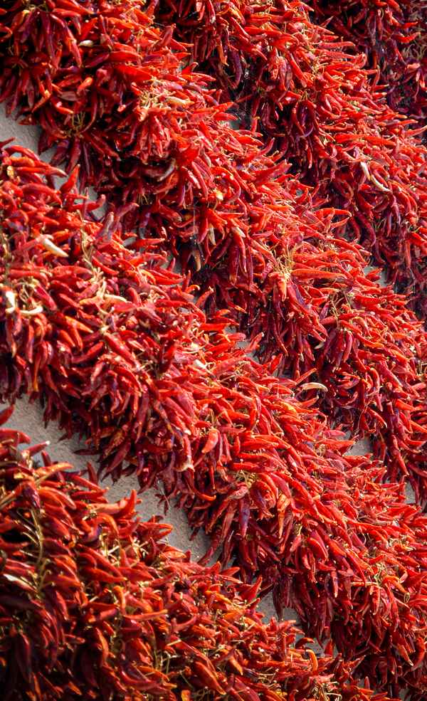 Rote Chilischoten