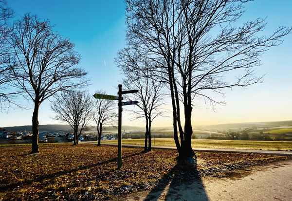 Wegweiser im Dezember-Gegenlicht