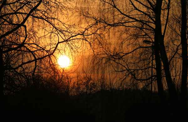 Morgensonne