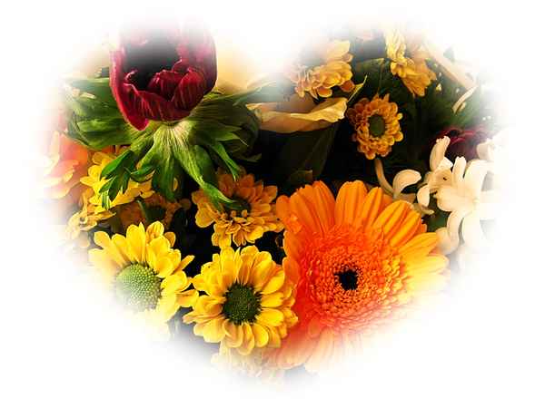 Sag's mit Blumen