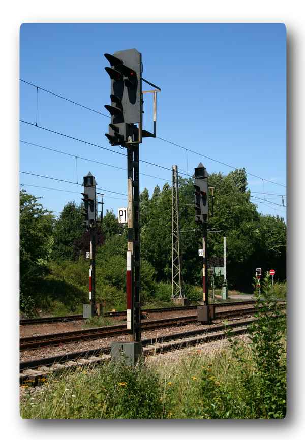 Signal