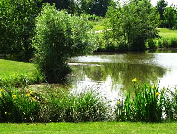 Wasser Wiese Wald - Natur pur