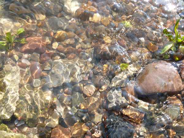 Am Ufer II