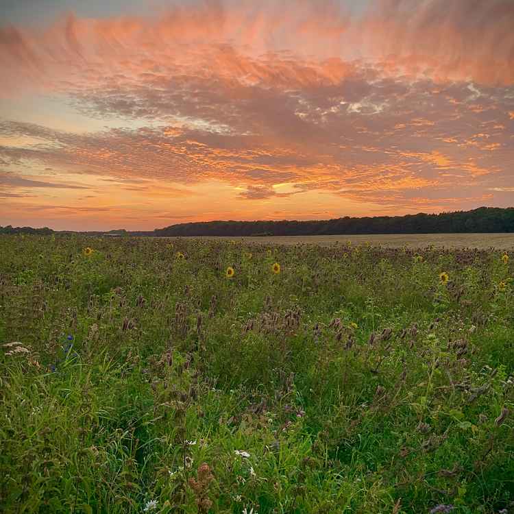 Wolken am Abend