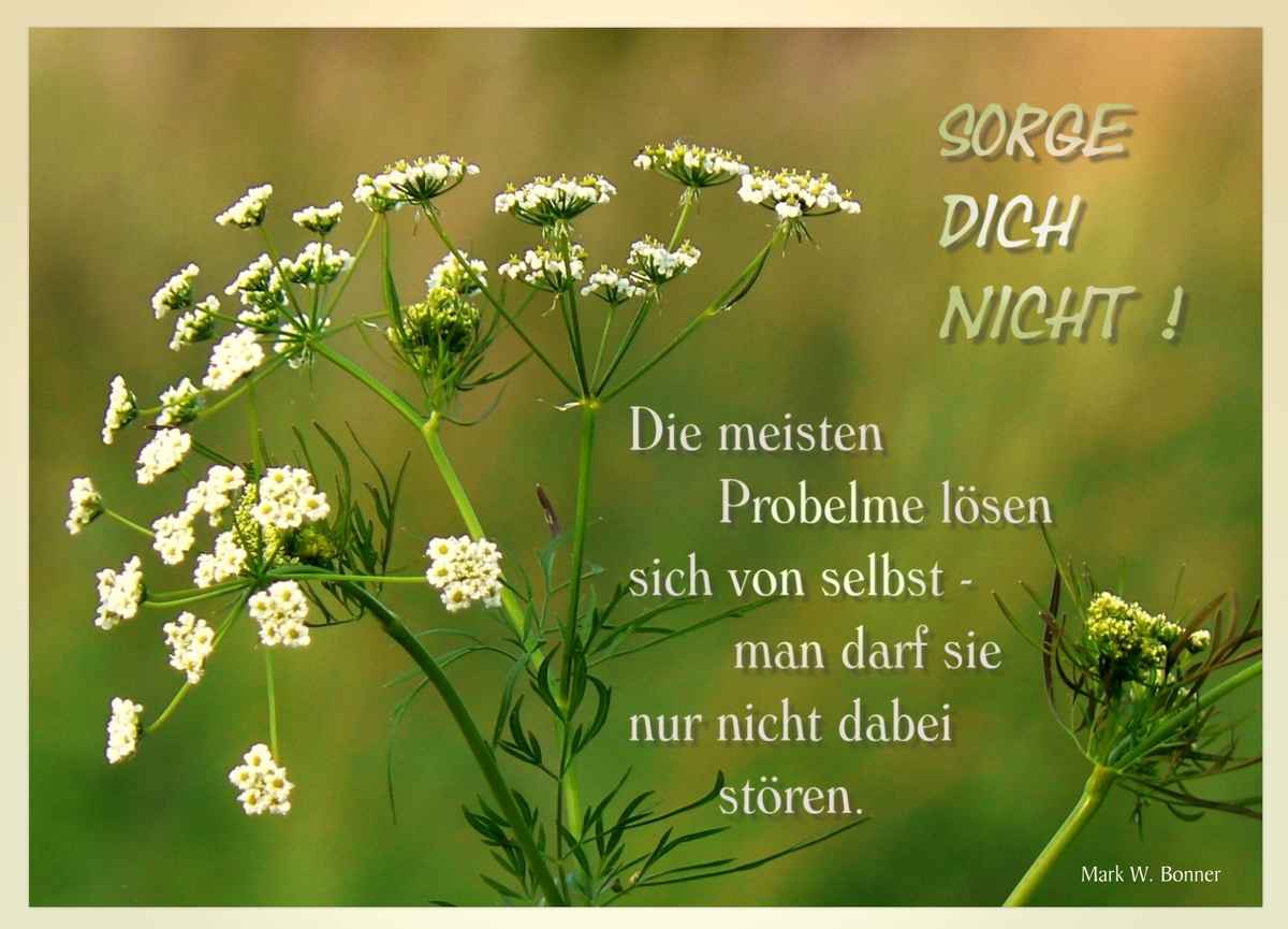 Sorge dich nicht ...