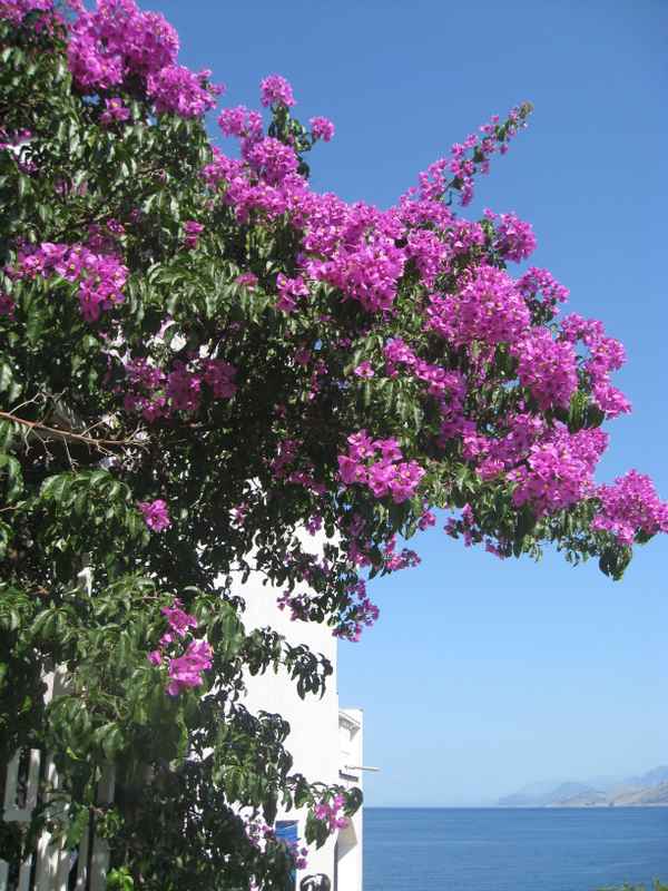 Unter dem südlichen Himmel