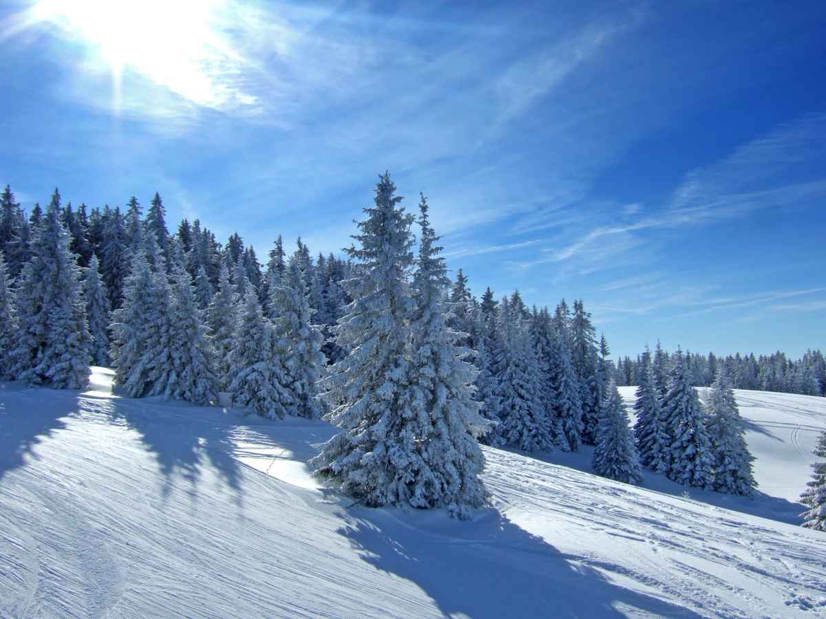 Sonniger Wintertraum