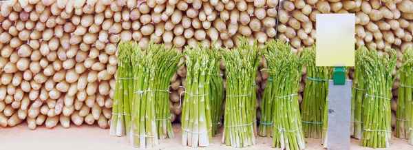 spargel