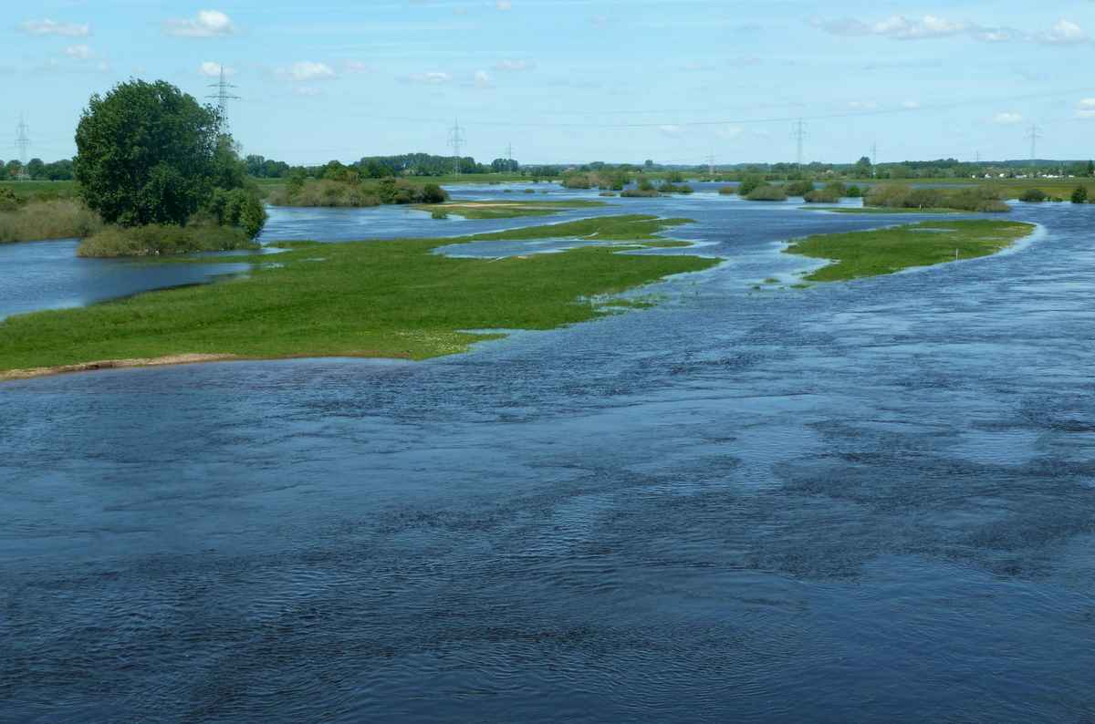 Aller-Hochwasser