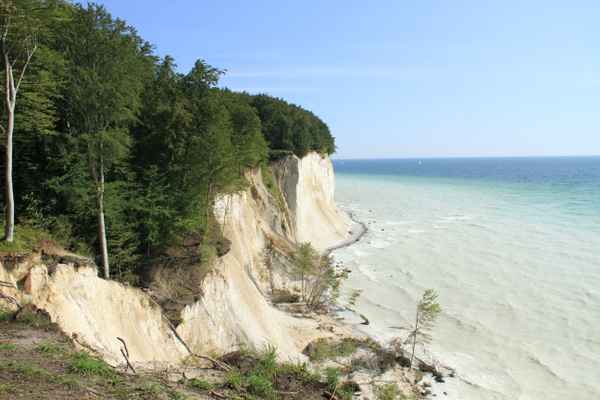Kreideküste Rügen