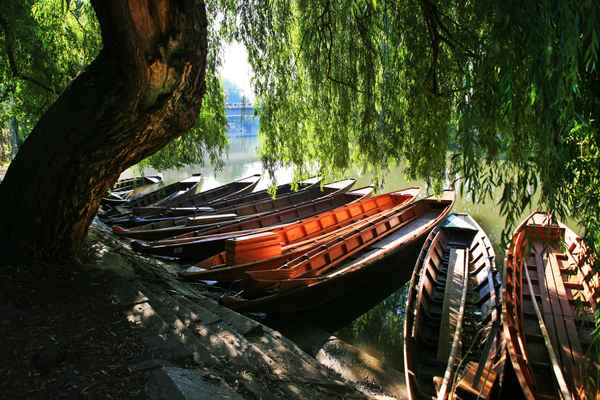 Bootsverleih am Neckar unter Weiden